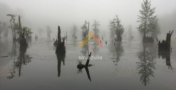 news/L1_xg2t9_دریاچه-ارواح-در-مه.jpg